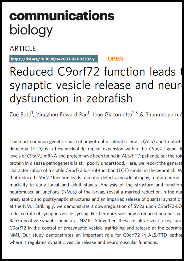 Reduced C9orf72 function leads to defective synaptic vesicle release and neuromuscular dysfunction in zebrafish