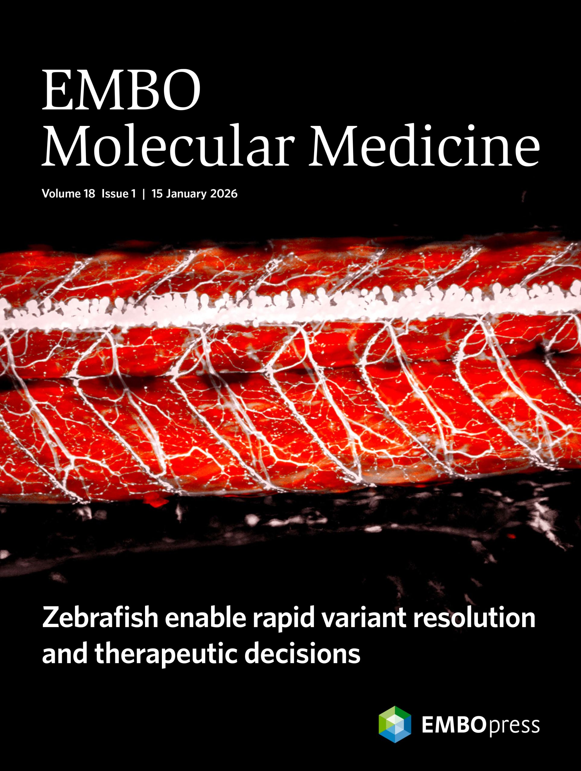 Clinical relevance of zebrafish for gene variants testing. Proof-of-principle with SMN1/SMA