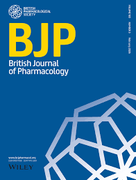 Selective modulation of NaV channel gating counteracts aberrant hyperexcitability and rescues motor function and survival in a model of spinal muscular atrophy